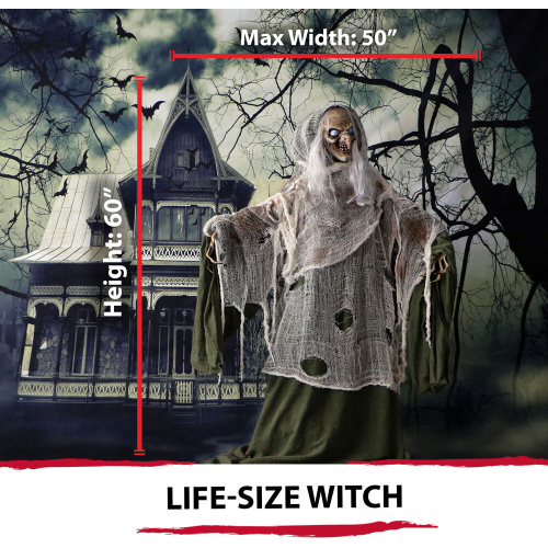 Haunted Hill Farm HHWITCH-7FLSA - 4